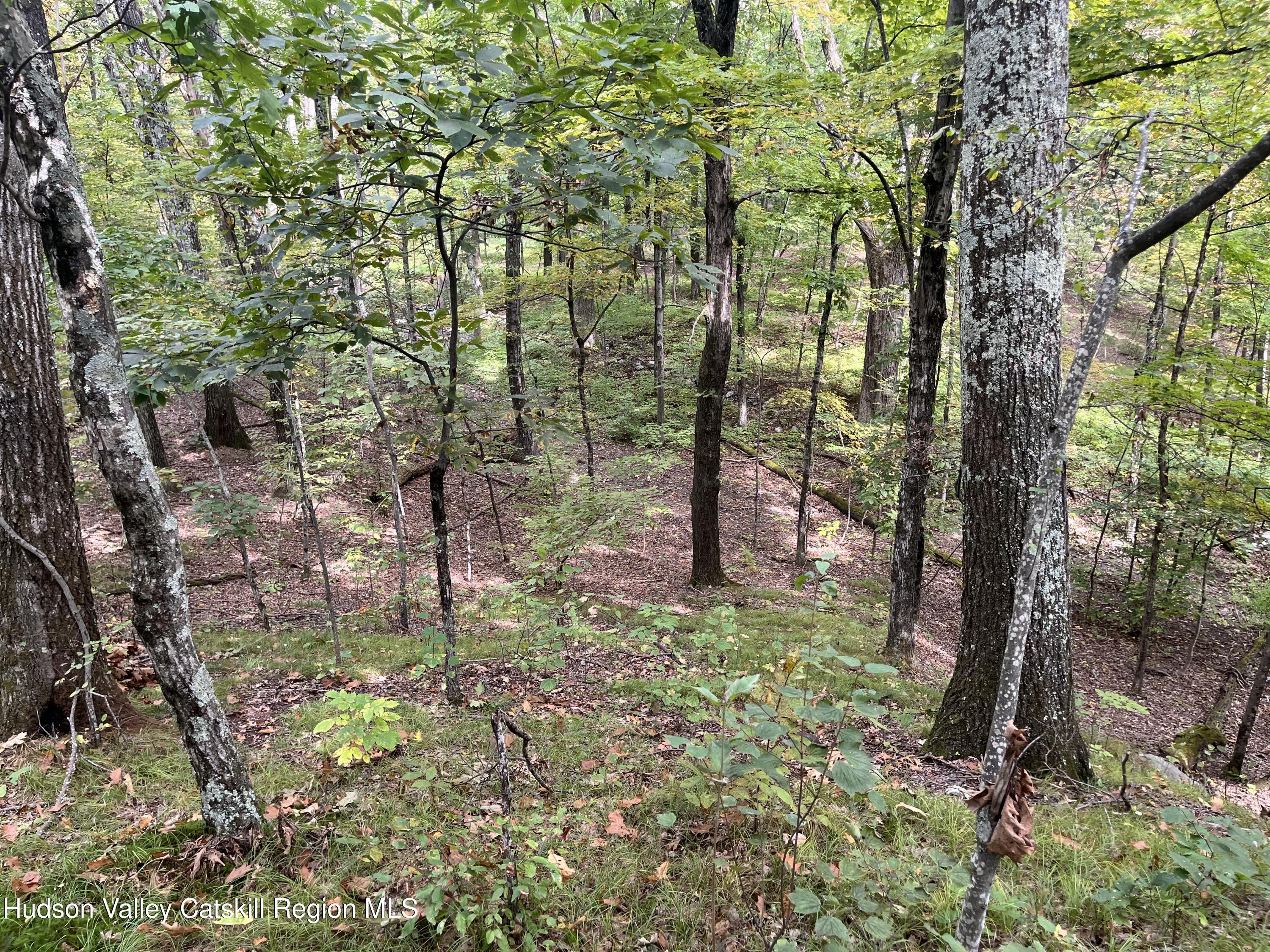 1154 Cold Spring Road Clinton Corners, NY 12514 - Photo 11 of 15 a view of outdoor space and trees