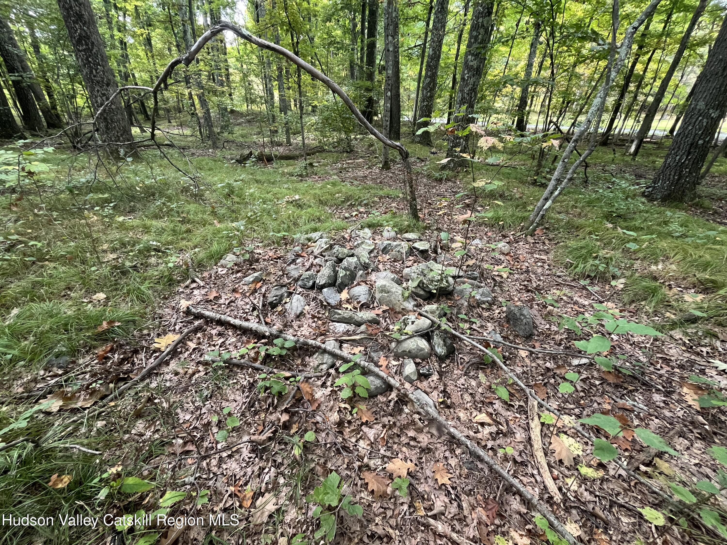 1154 Cold Spring Road Clinton Corners, NY 12514 - Photo 12 of 15 a backyard of a house with lots of green space