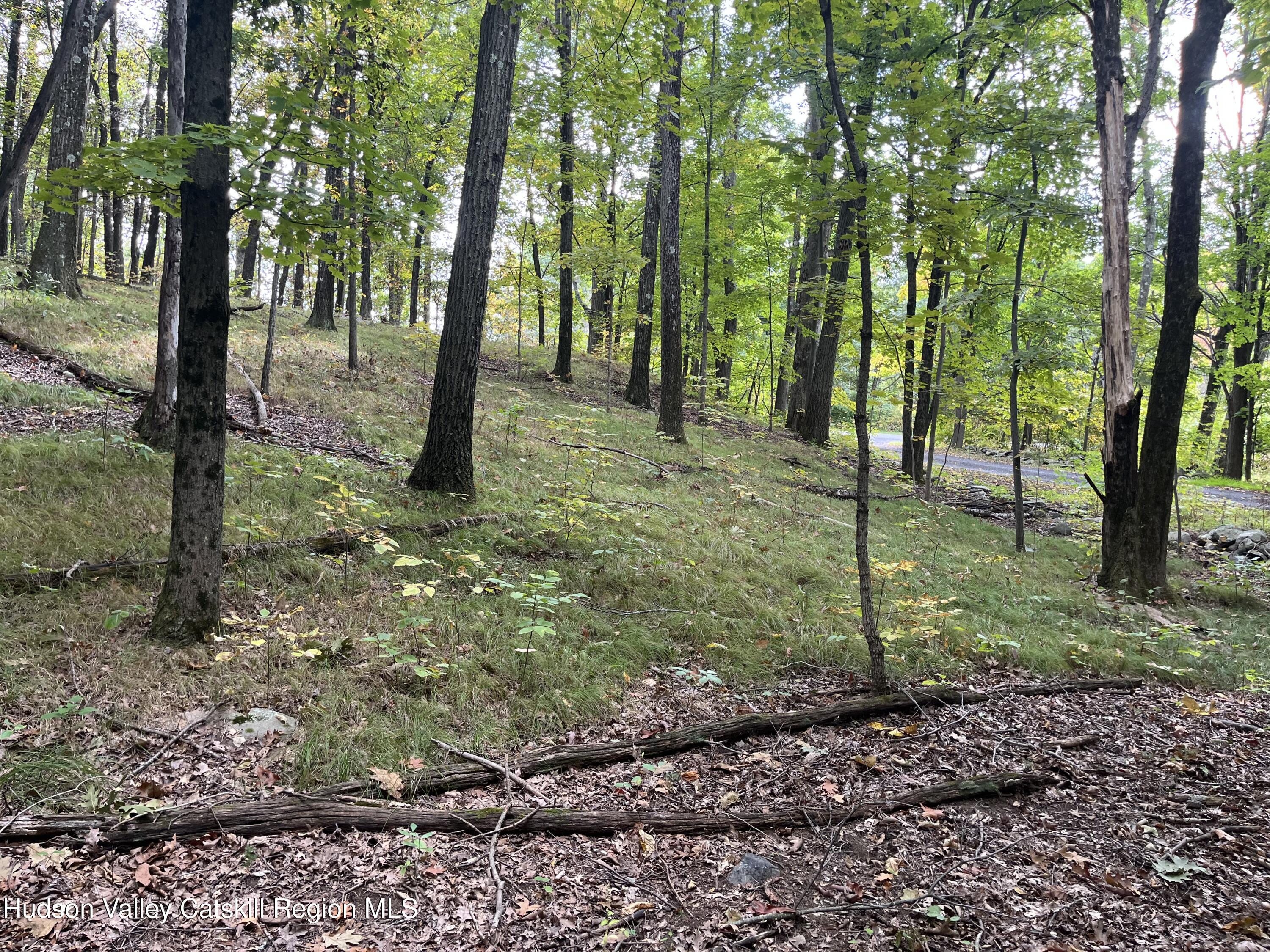 1154 Cold Spring Road Clinton Corners, NY 12514 - Photo 13 of 15 a backyard of a house with lots of green space