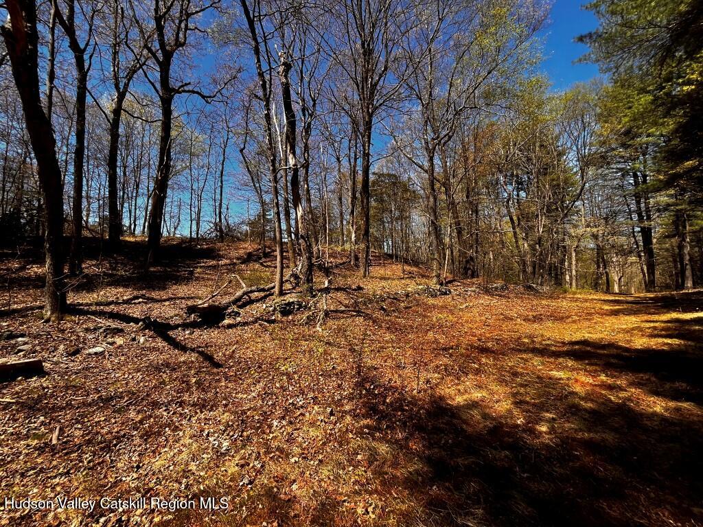 1154 Cold Spring Road Clinton Corners, NY 12514 - Photo 14 of 15 a backyard of a house with lots of green space