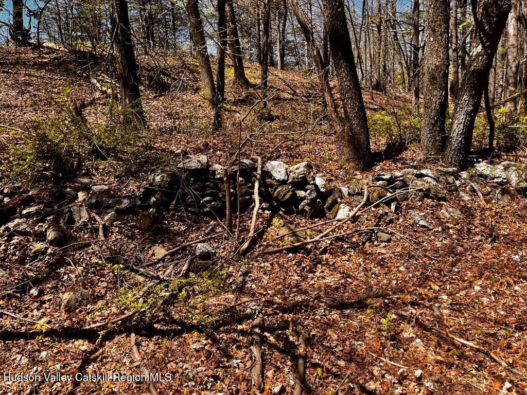 1154 Cold Spring Road Clinton Corners, NY 12514 - Photo 15 of 15 a view of a tree