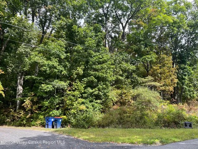 a view of a field with plants and trees