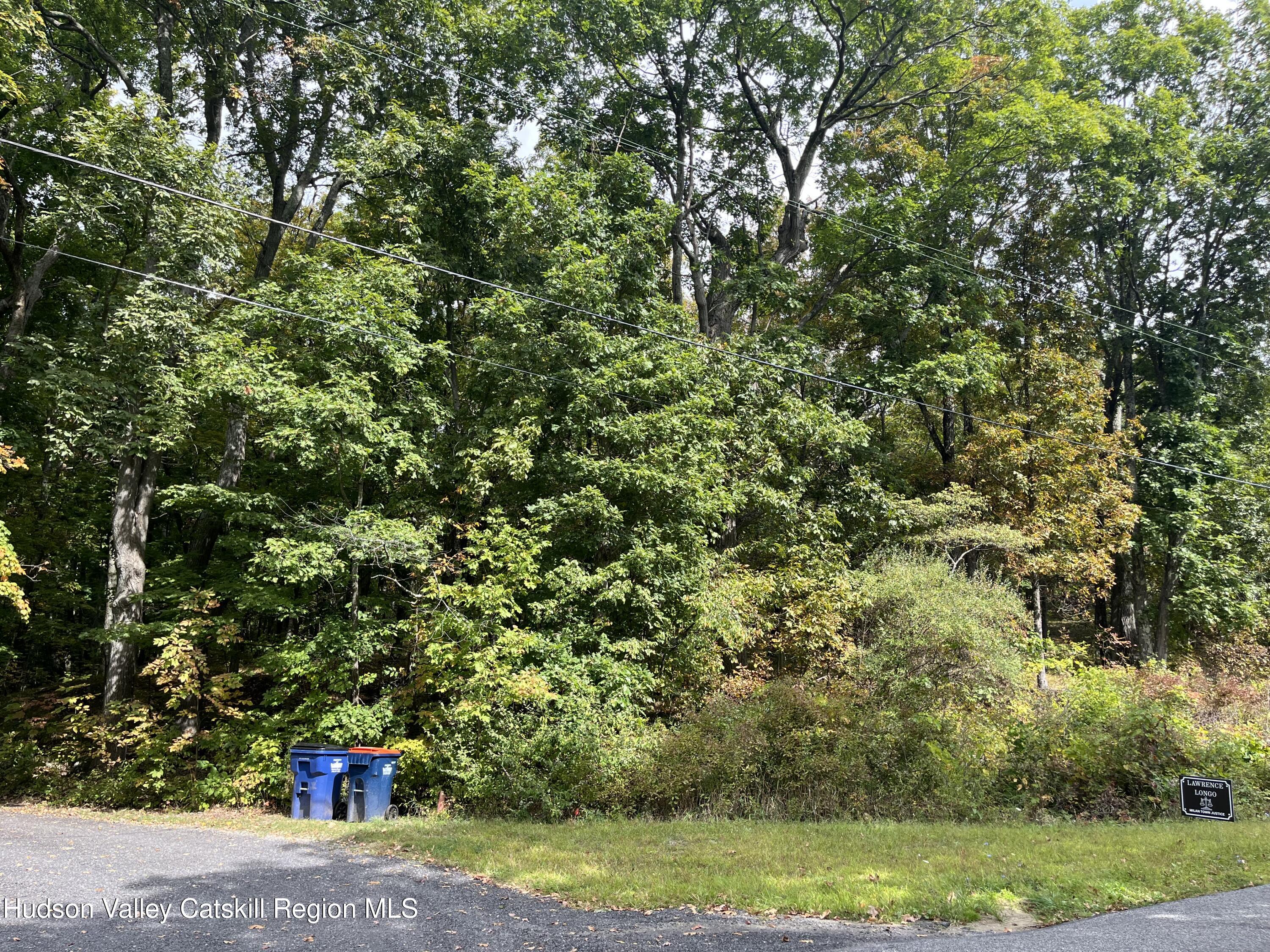 1154 Cold Spring Road Clinton Corners, NY 12514 - Photo 3 of 15 a view of a field with plants and trees
