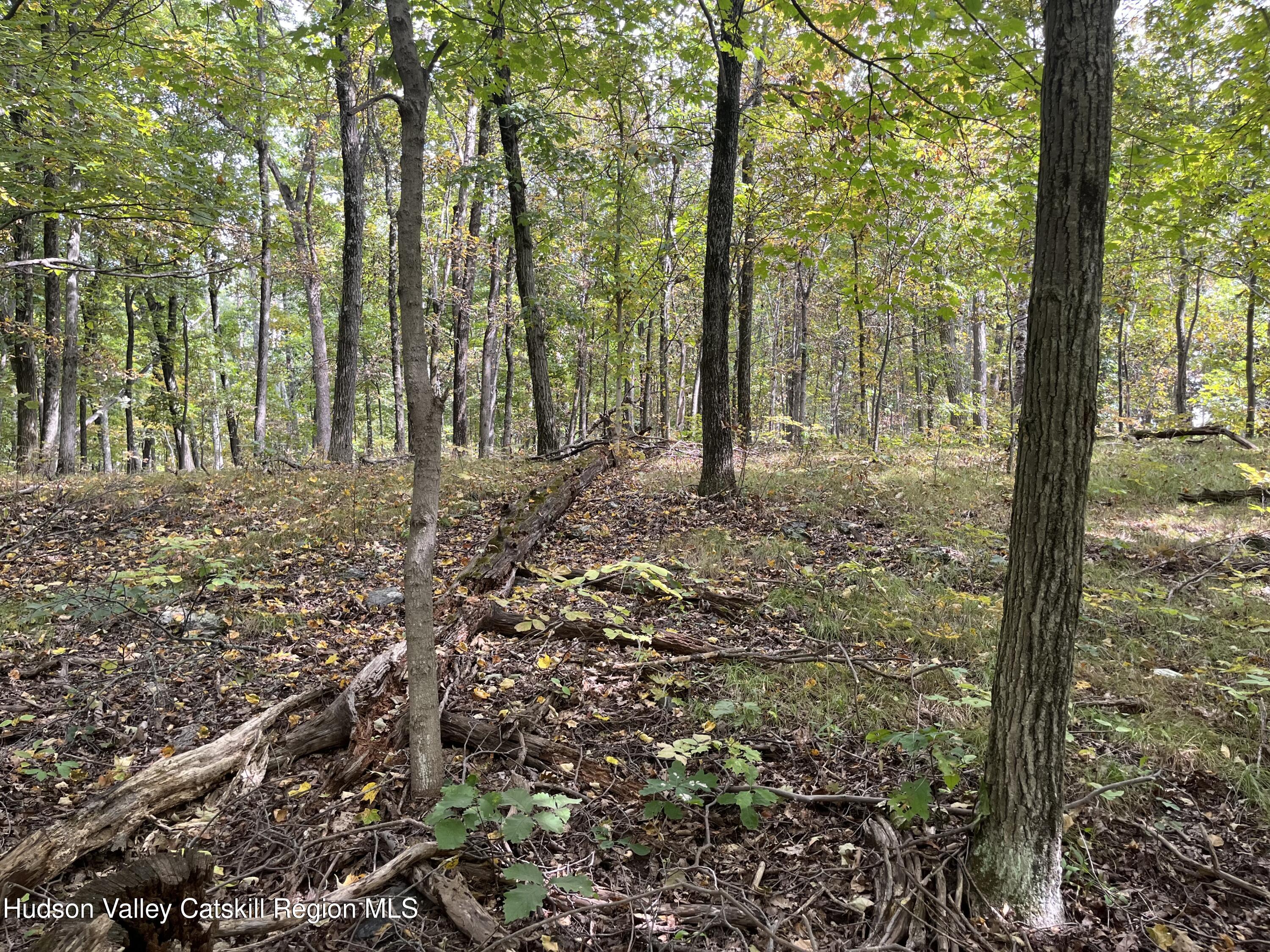 1154 Cold Spring Road Clinton Corners, NY 12514 - Photo 4 of 15 a view of backyard with green space