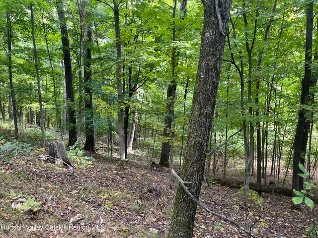 a view of outdoor space and tree