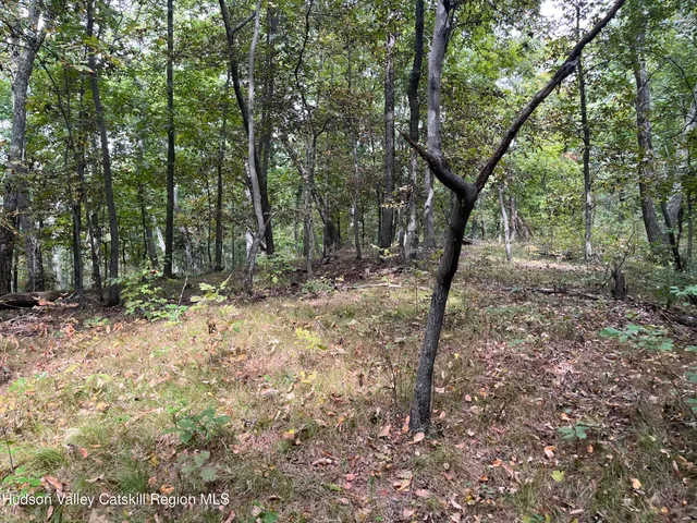 a view of outdoor space and trees