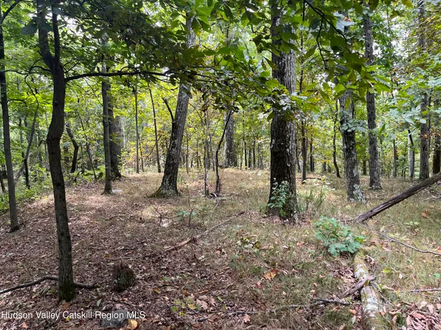 a view of outdoor space with trees