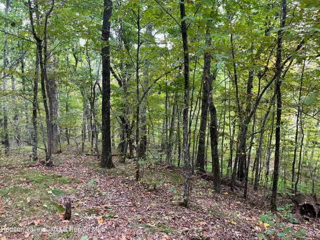 a view of outdoor space and green space