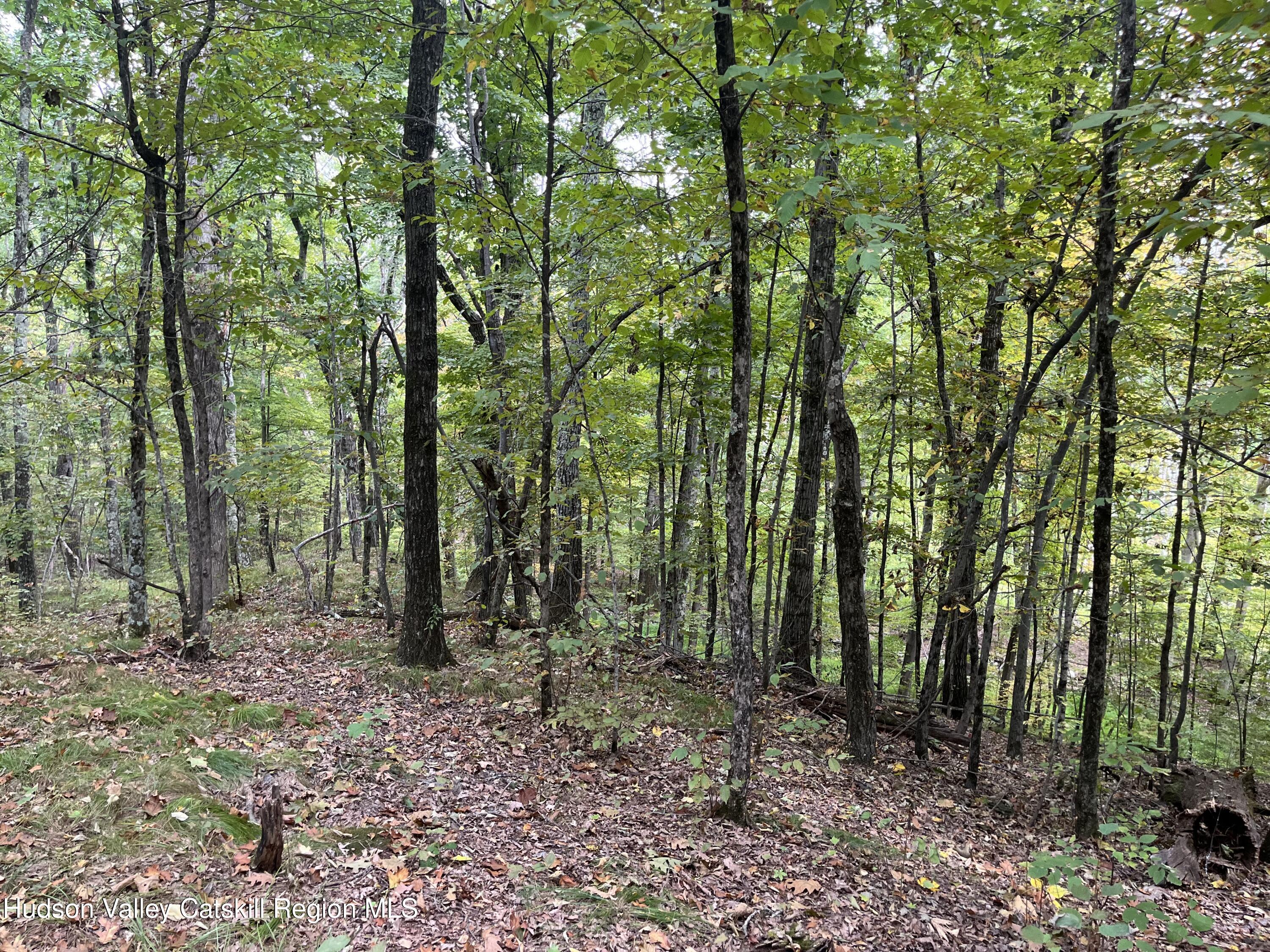 1154 Cold Spring Road Clinton Corners, NY 12514 - Photo 9 of 15 a view of outdoor space and green space