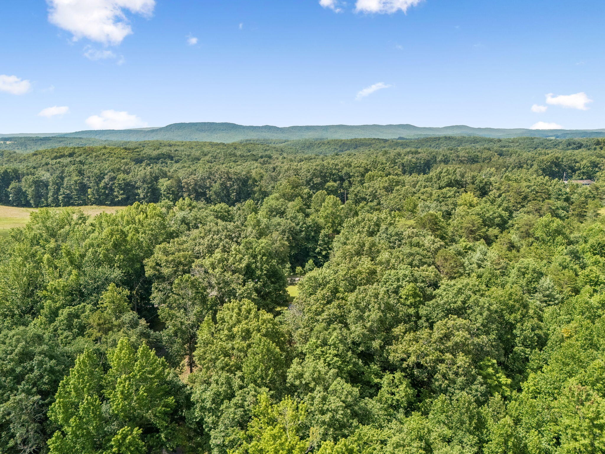 0 Ridge Road Lancing, TN 37770 - Photo 18 of 18