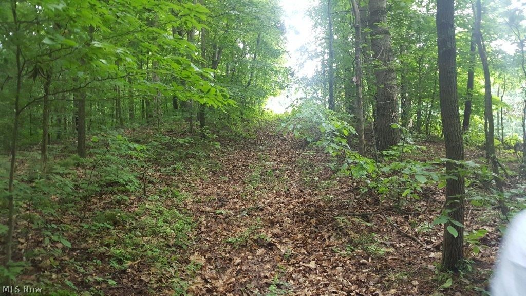 5846 Holmes Church Road Northeast New Philadelphia, OH 44663 - Photo 16 of 34