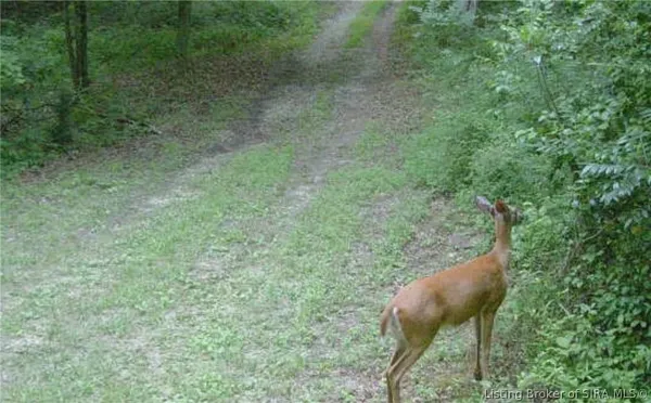 $575,000 | 8172 East Ash Road, Bloomfield, IN 47424