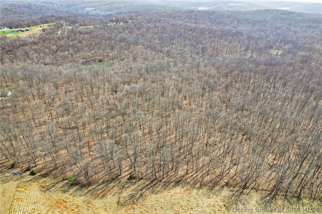 8172 East Ash Road Bloomfield, IN 47424 - Photo 31 of 37