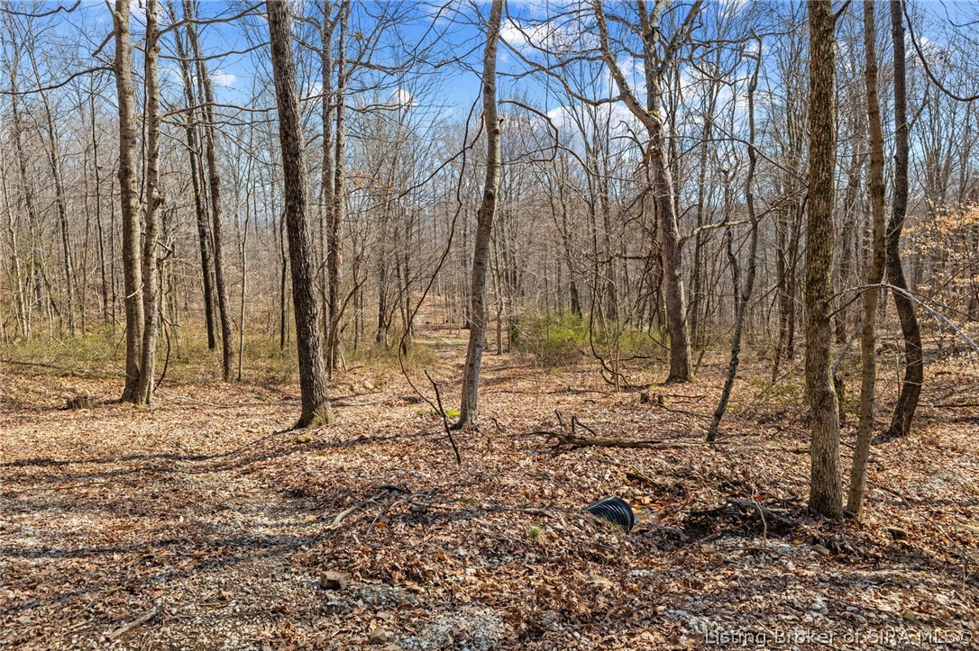 8172 East Ash Road Bloomfield, IN 47424 - Photo 9 of 37