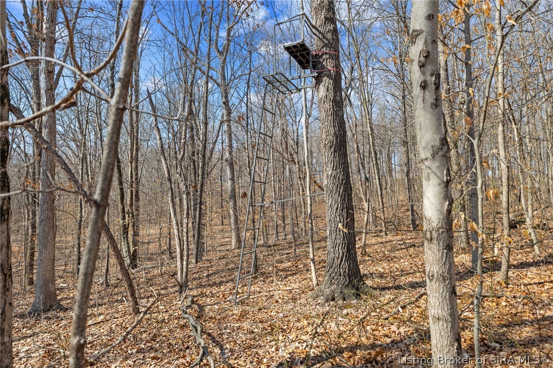 8172 East Ash Road Bloomfield, IN 47424 - Photo 10 of 37