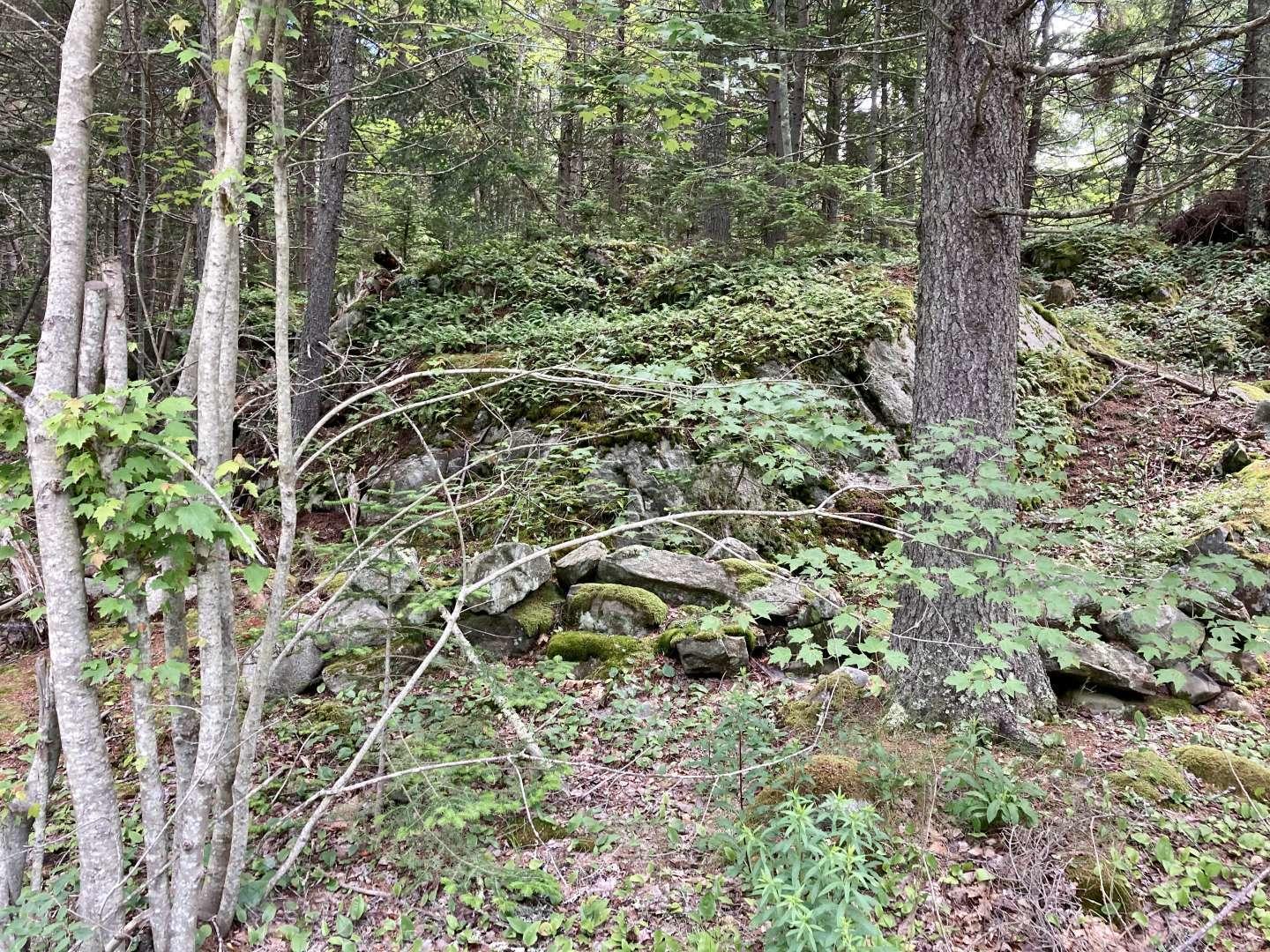 0 Wadsworth Point Road Friendship, ME 04547 - Photo 17 of 19 Li.17
