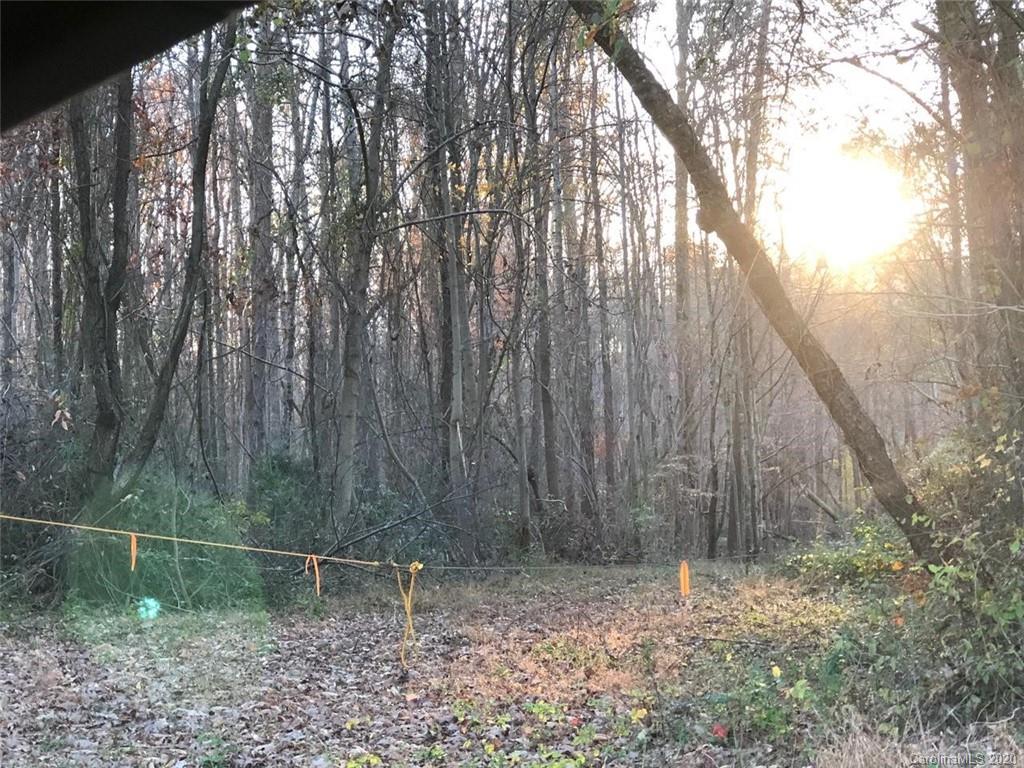 0 County Home Road Conover, NC 28613 - Photo 1 of 2 Gallery Image 1
