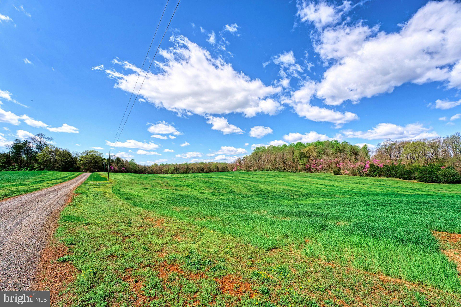 11460 Freemans Ford Road Remington, VA 22734 - Photo 17 of 32 Gallery Image 17