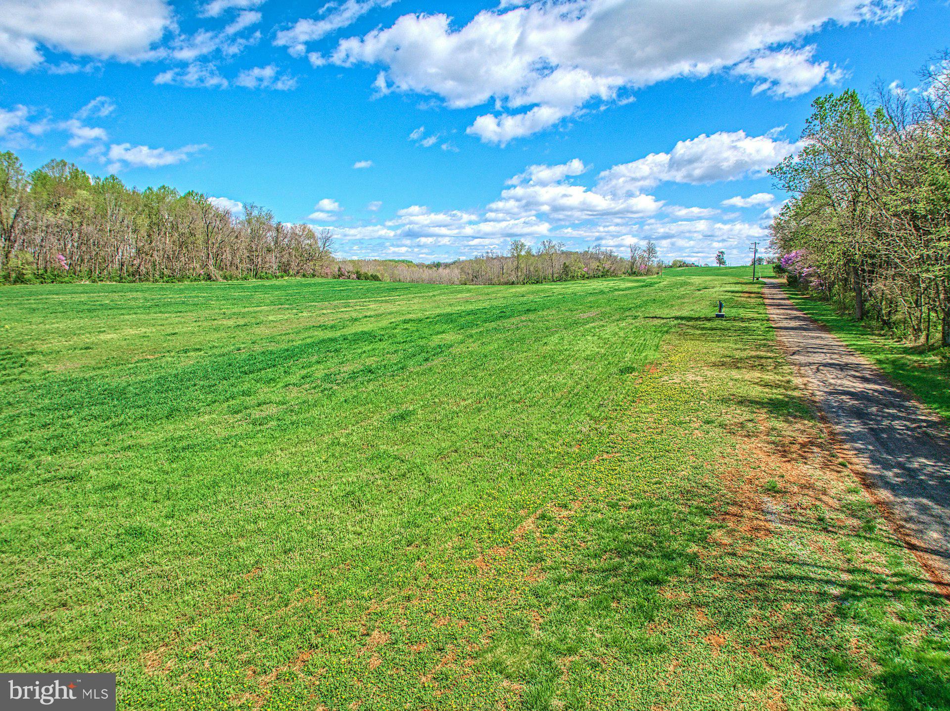 11460 Freemans Ford Road Remington, VA 22734 - Photo 19 of 32 Gallery Image 19