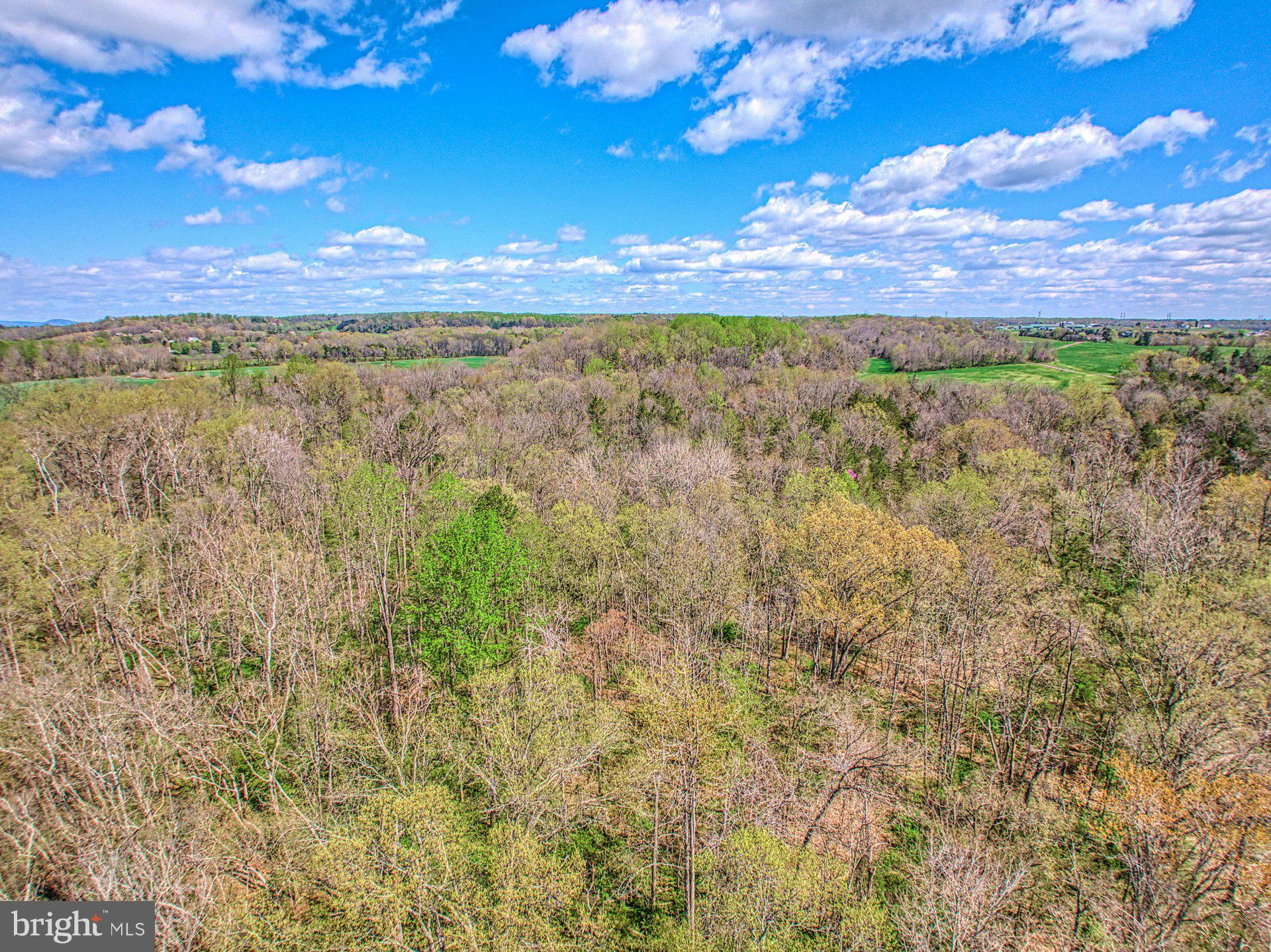 11460 Freemans Ford Road Remington, VA 22734 - Photo 31 of 32 Gallery Image 31