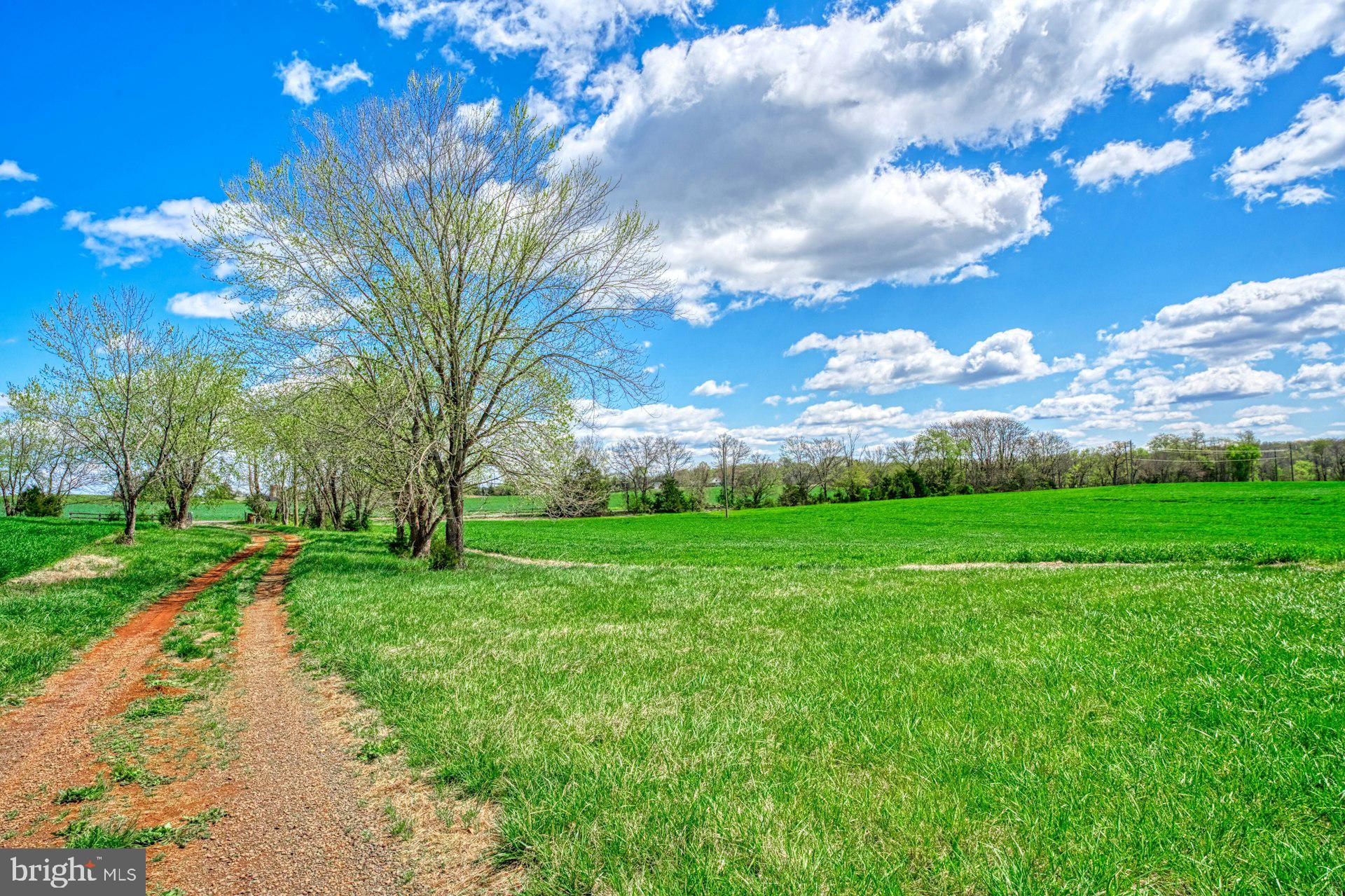 11460 Freemans Ford Road Remington, VA 22734 - Photo 4 of 32 Gallery Image 4