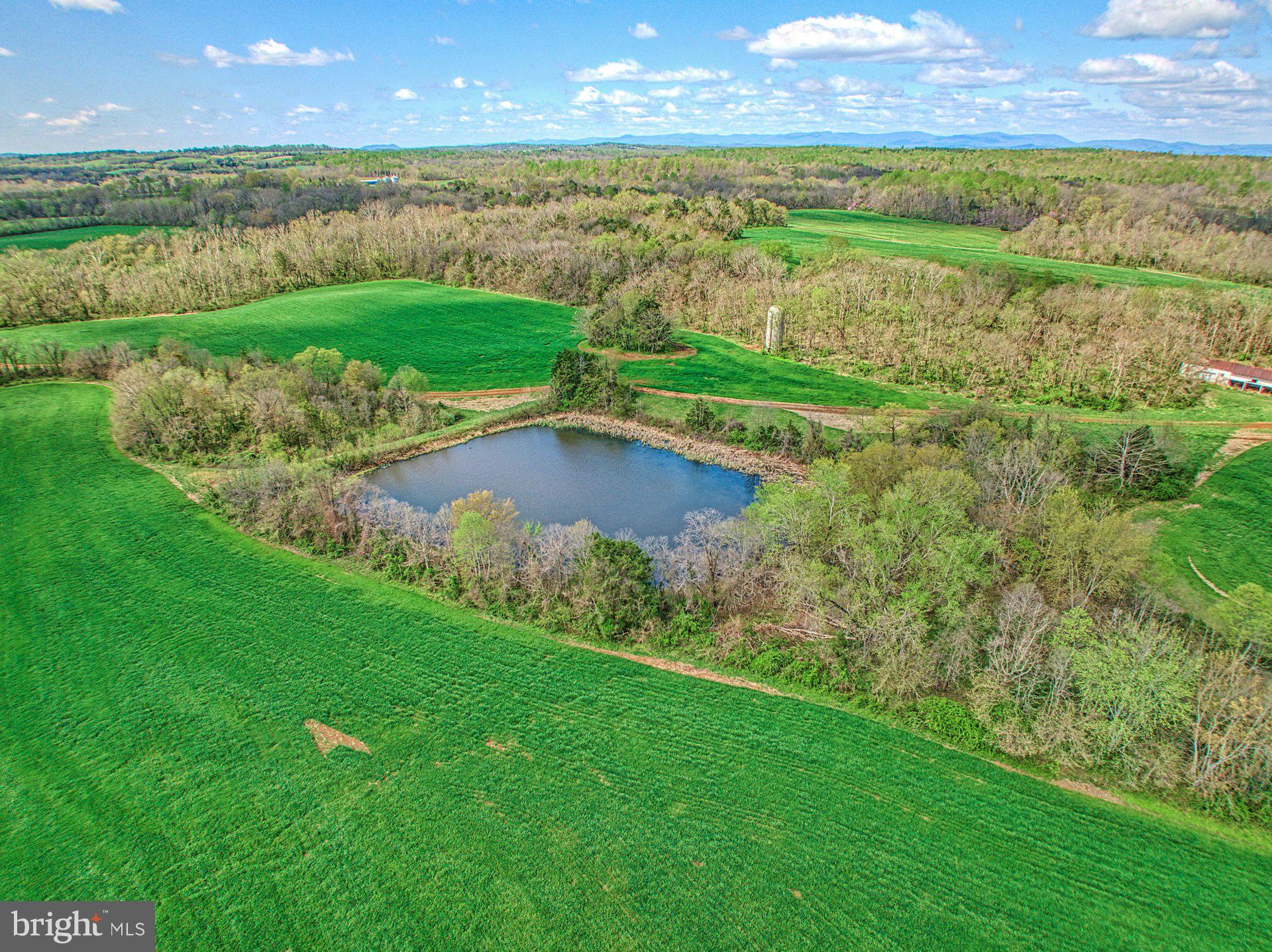 11460 Freemans Ford Road Remington, VA 22734 - Photo 9 of 32 Gallery Image 9