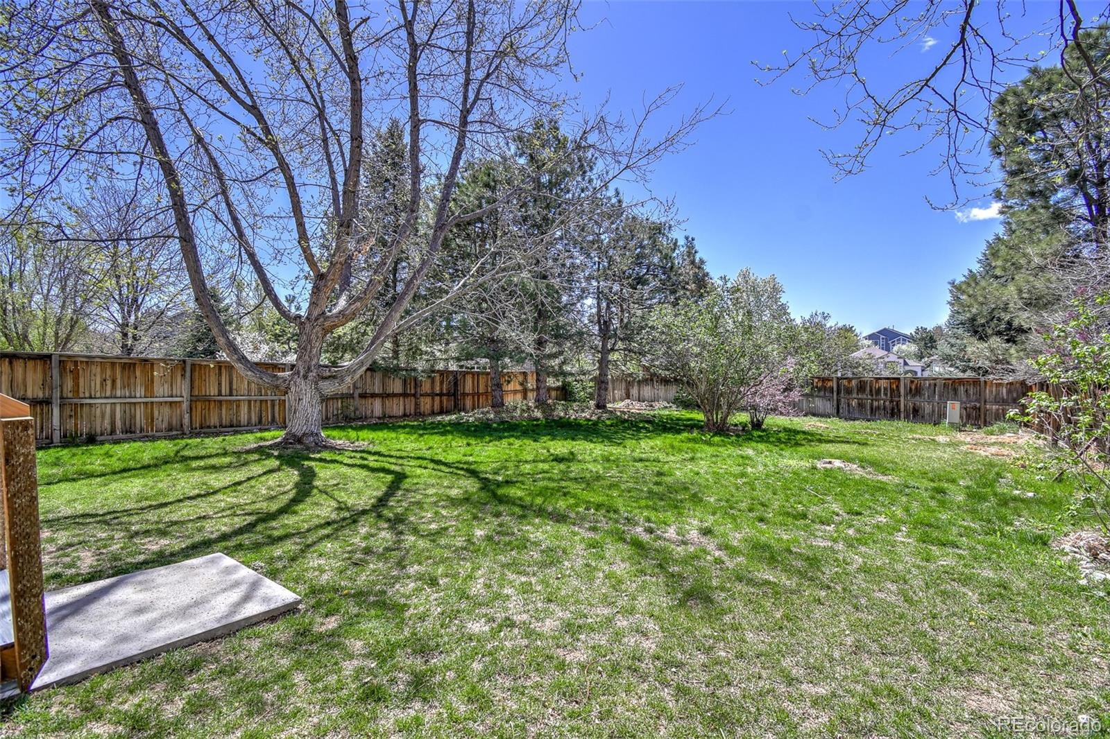 9265 Roadrunner Street Highlands Ranch, CO 80129 - Photo 27 of 28 a view of a park with large trees