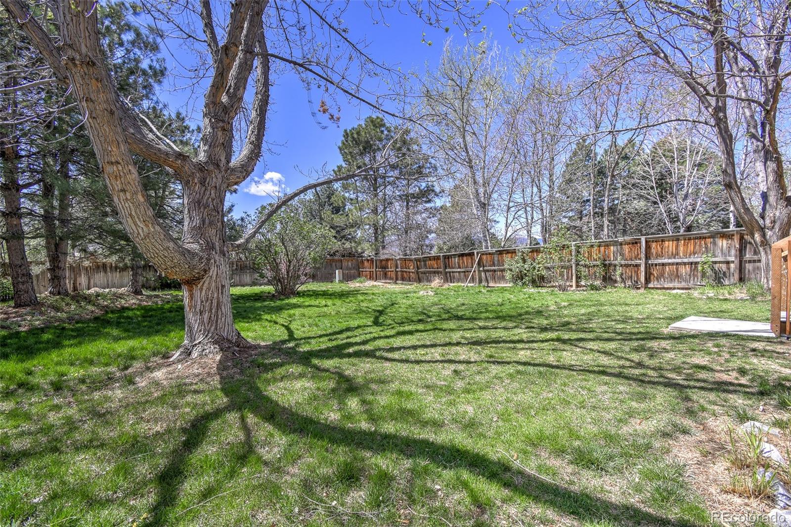 9265 Roadrunner Street Highlands Ranch, CO 80129 - Photo 28 of 28 a view of a house with a big yard