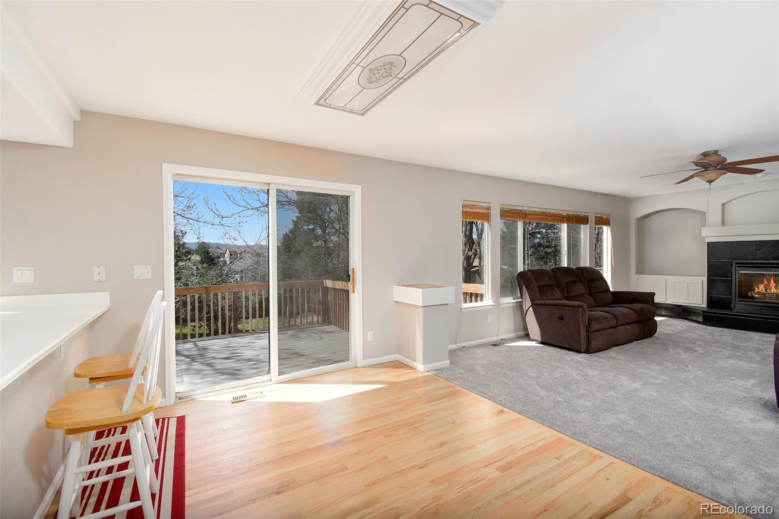 9265 Roadrunner Street Highlands Ranch, CO 80129 - Photo 9 of 28 a living room with furniture a flat screen tv and a fireplace