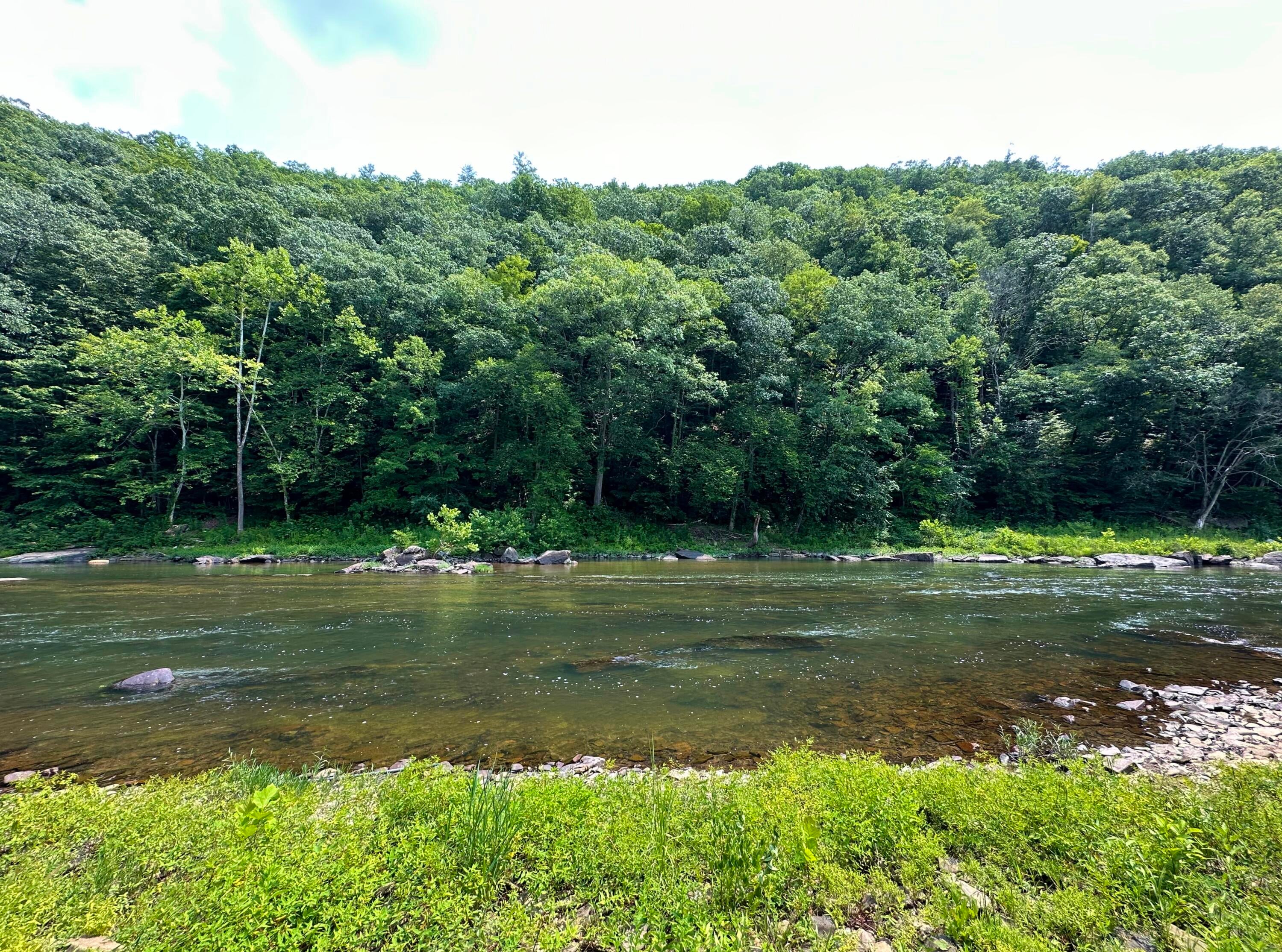 3981 Coleman Cliff Road Frankford, WV 24938 - Photo 5 of 66 3981 Coleman Cliff Rd