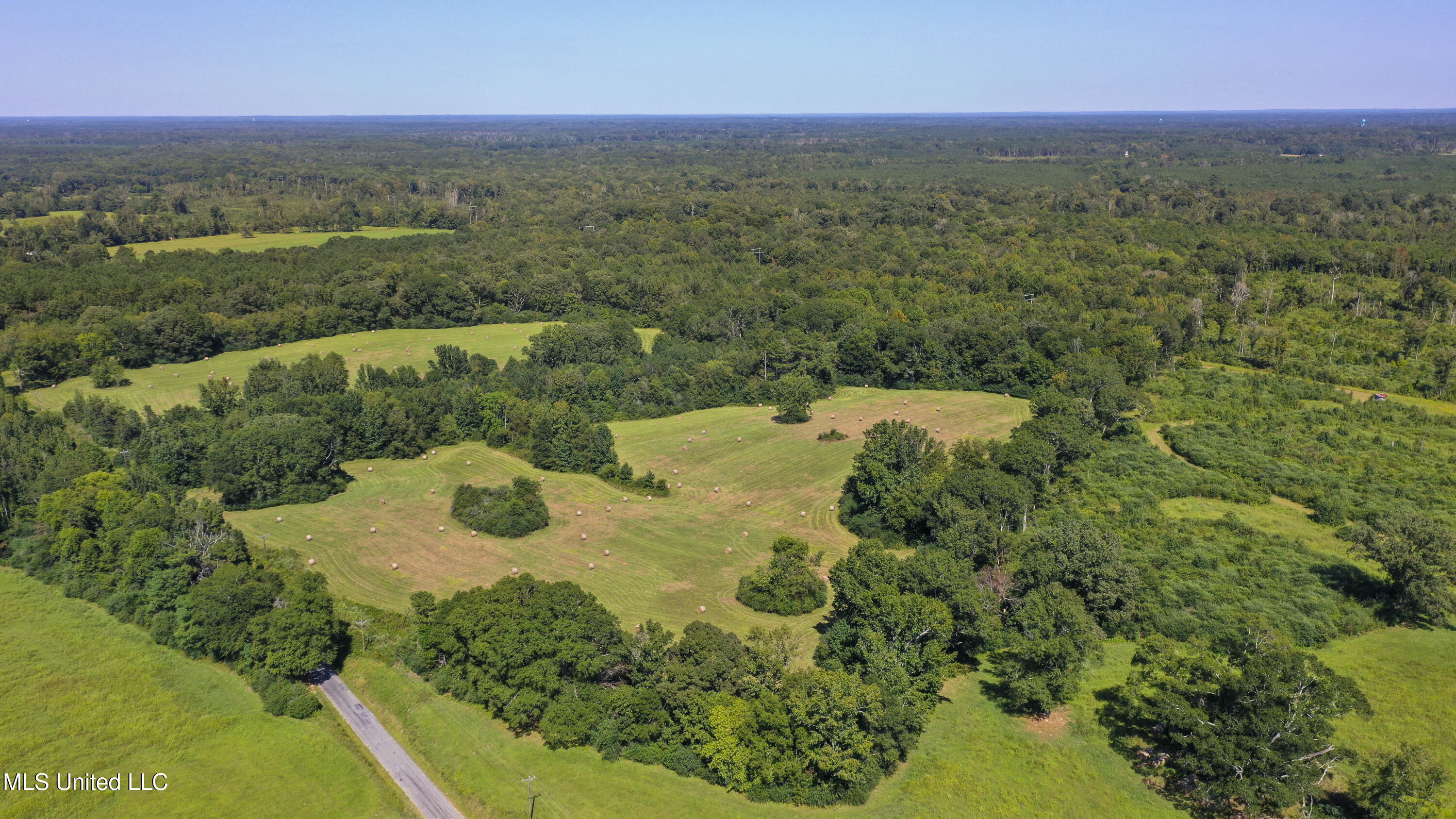 Clifton Road Forest, MS 39074 - Photo 1 of 25 Clifton Rd-60 Acres-6