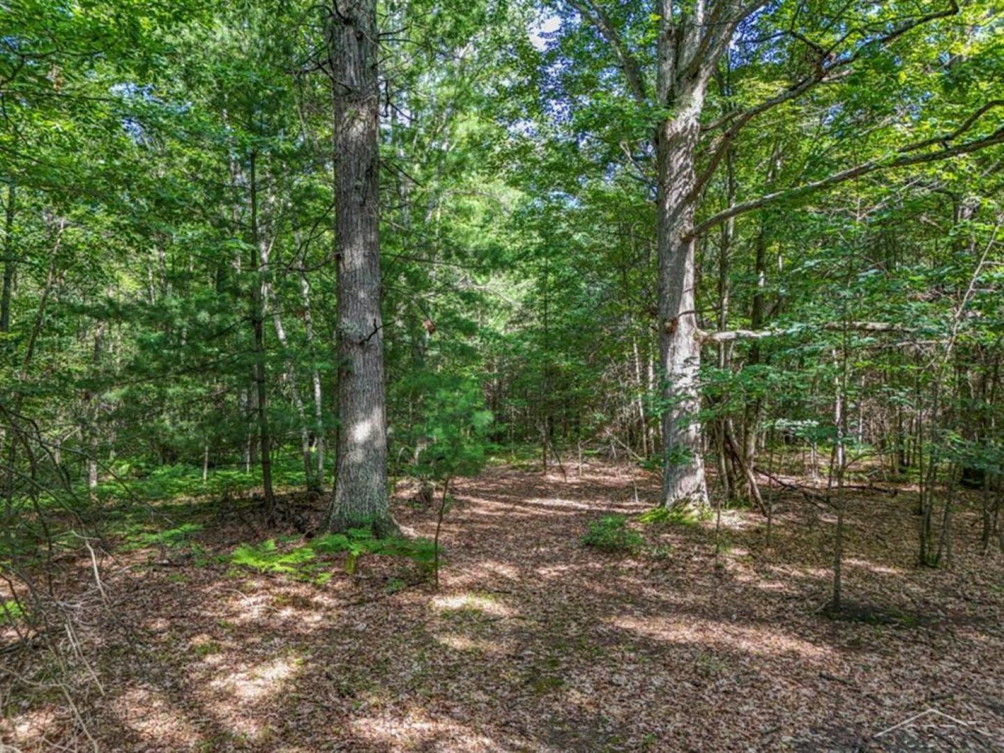 457 East Mier Road Midland, MI 48642 - Photo 49 of 53