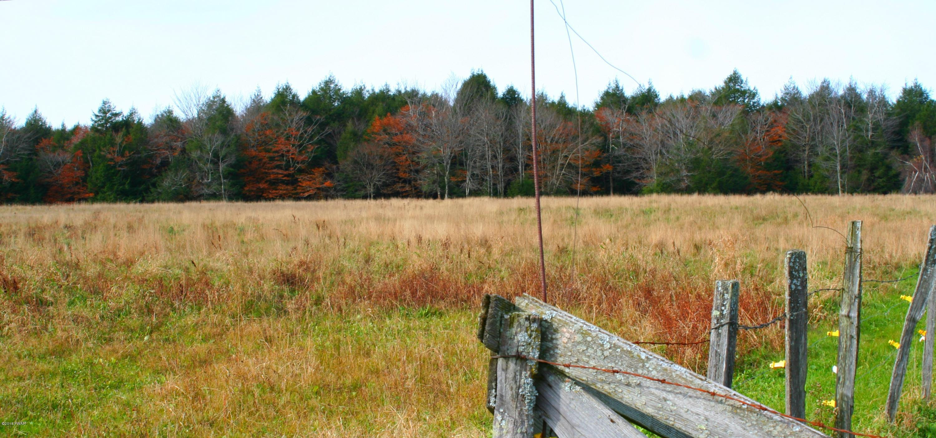 Lot E Lot E North Road Pleasant Mount, PA 18453 - Photo 4 of 7