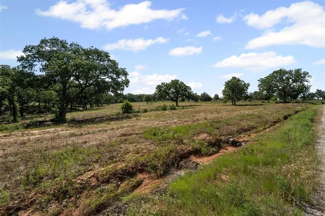 a view of a field with trees in the background