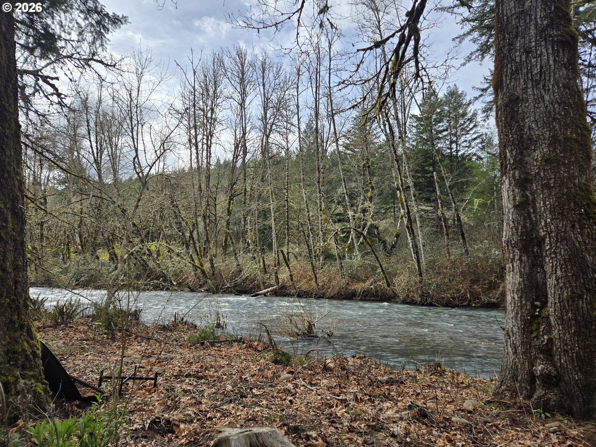 16817 Nonpareil Road Sutherlin, OR 97479 - Photo 21 of 39 a view of outdoor space and yard