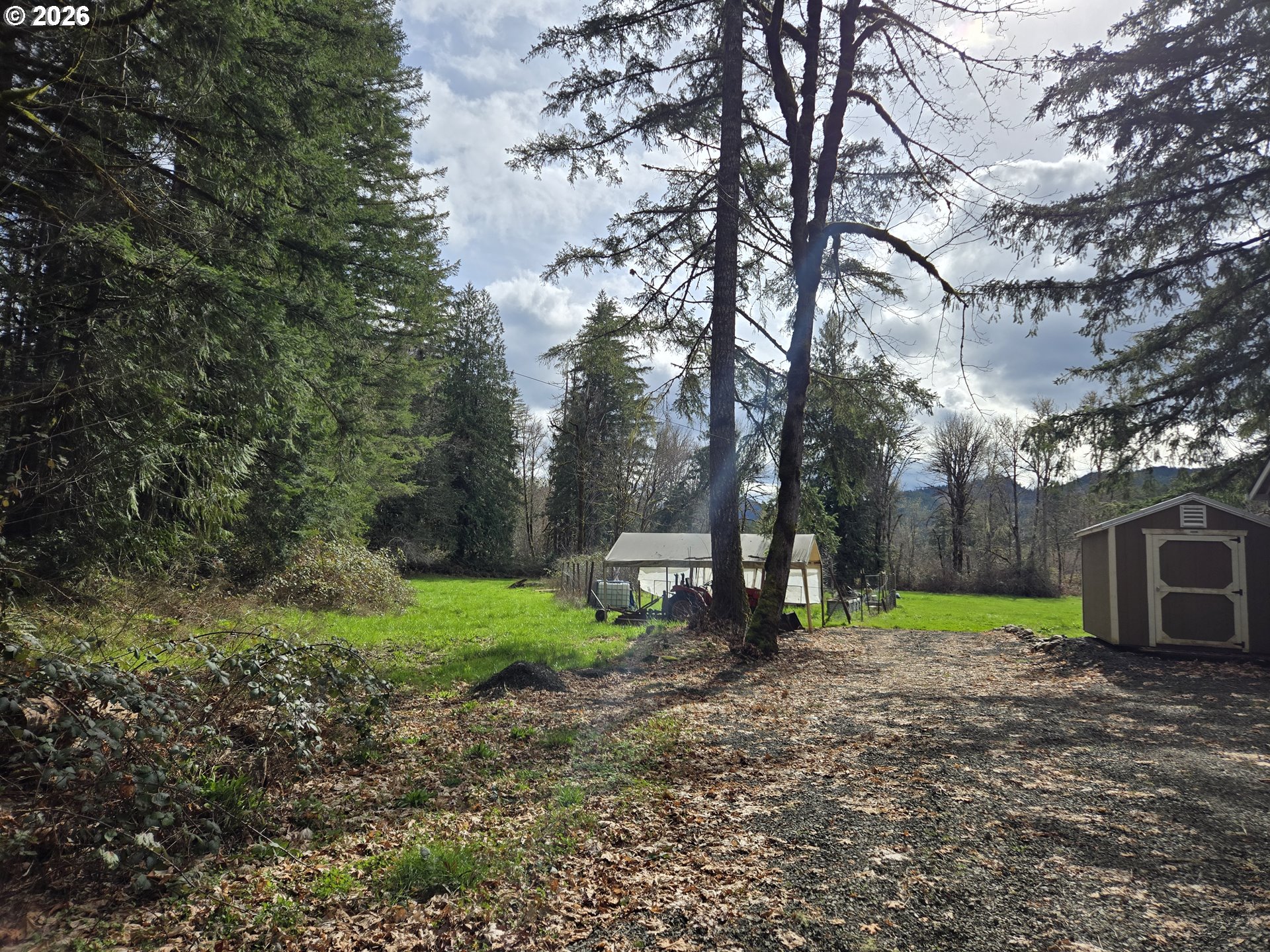 16817 Nonpareil Road Sutherlin, OR 97479 - Photo 32 of 39 a view of a yard with a tree