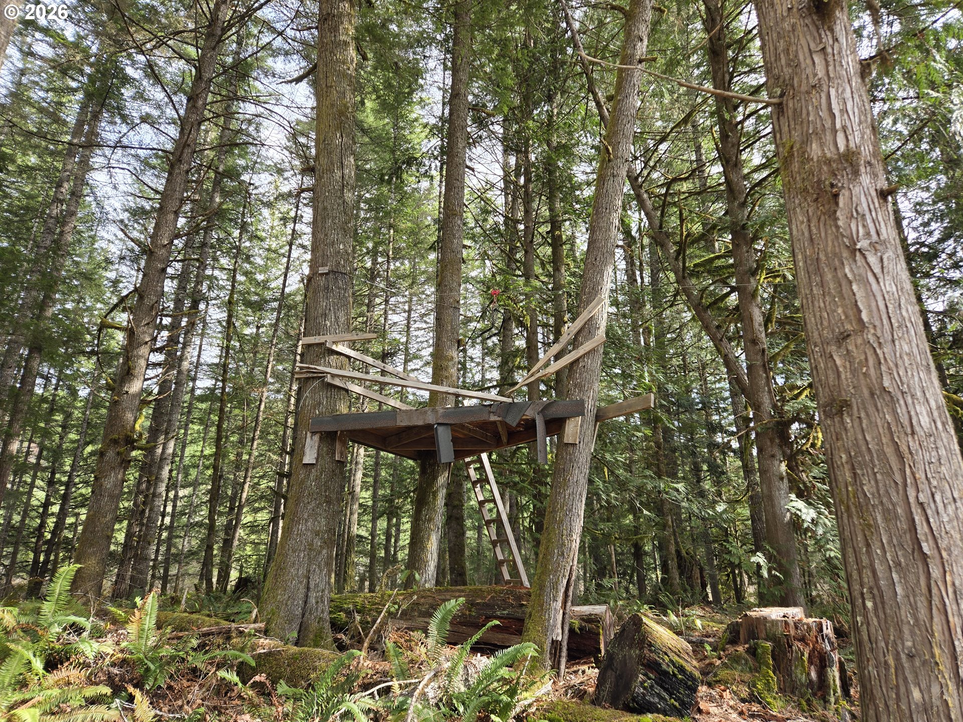 16817 Nonpareil Road Sutherlin, OR 97479 - Photo 33 of 39