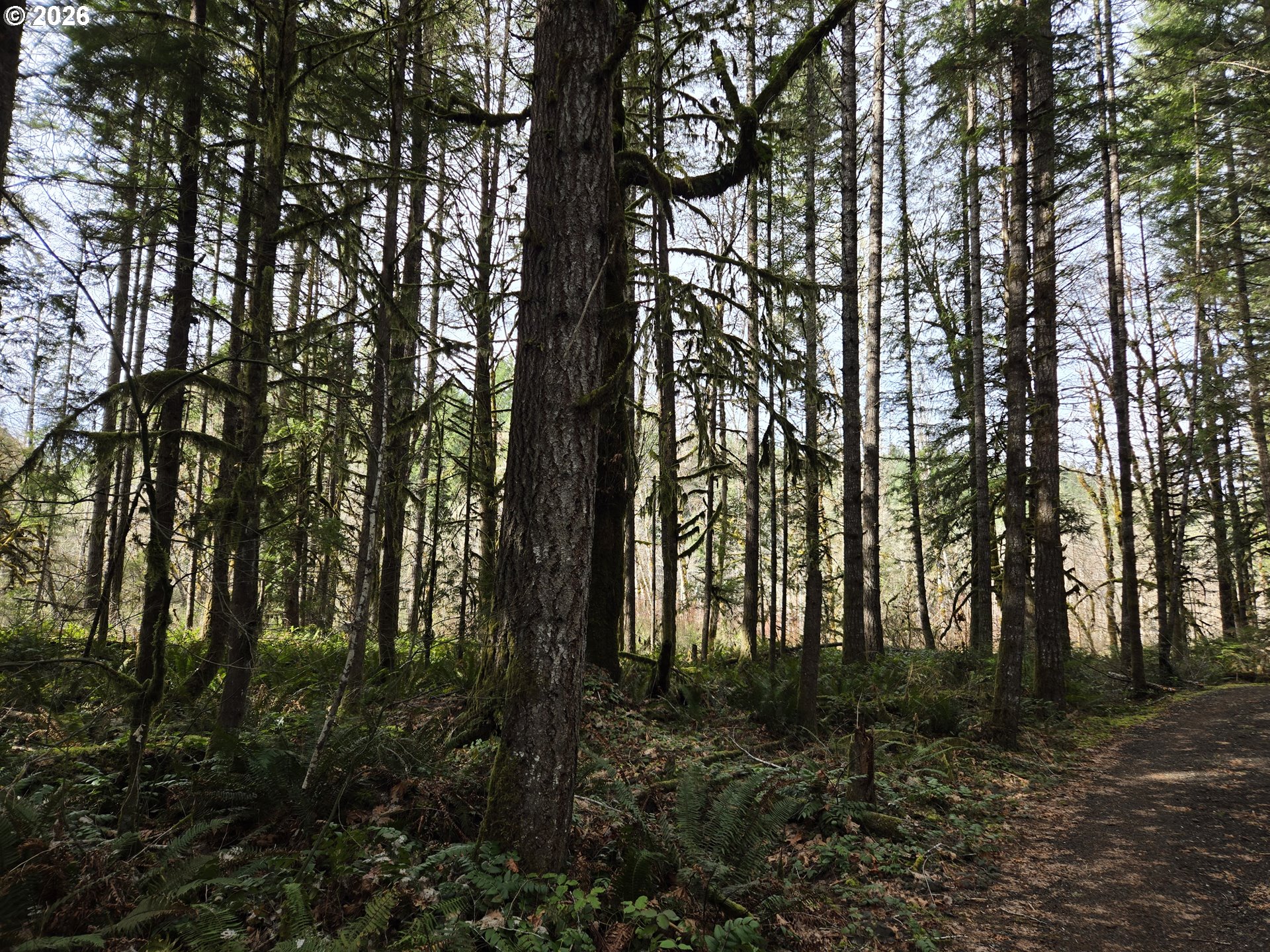 16817 Nonpareil Road Sutherlin, OR 97479 - Photo 35 of 39