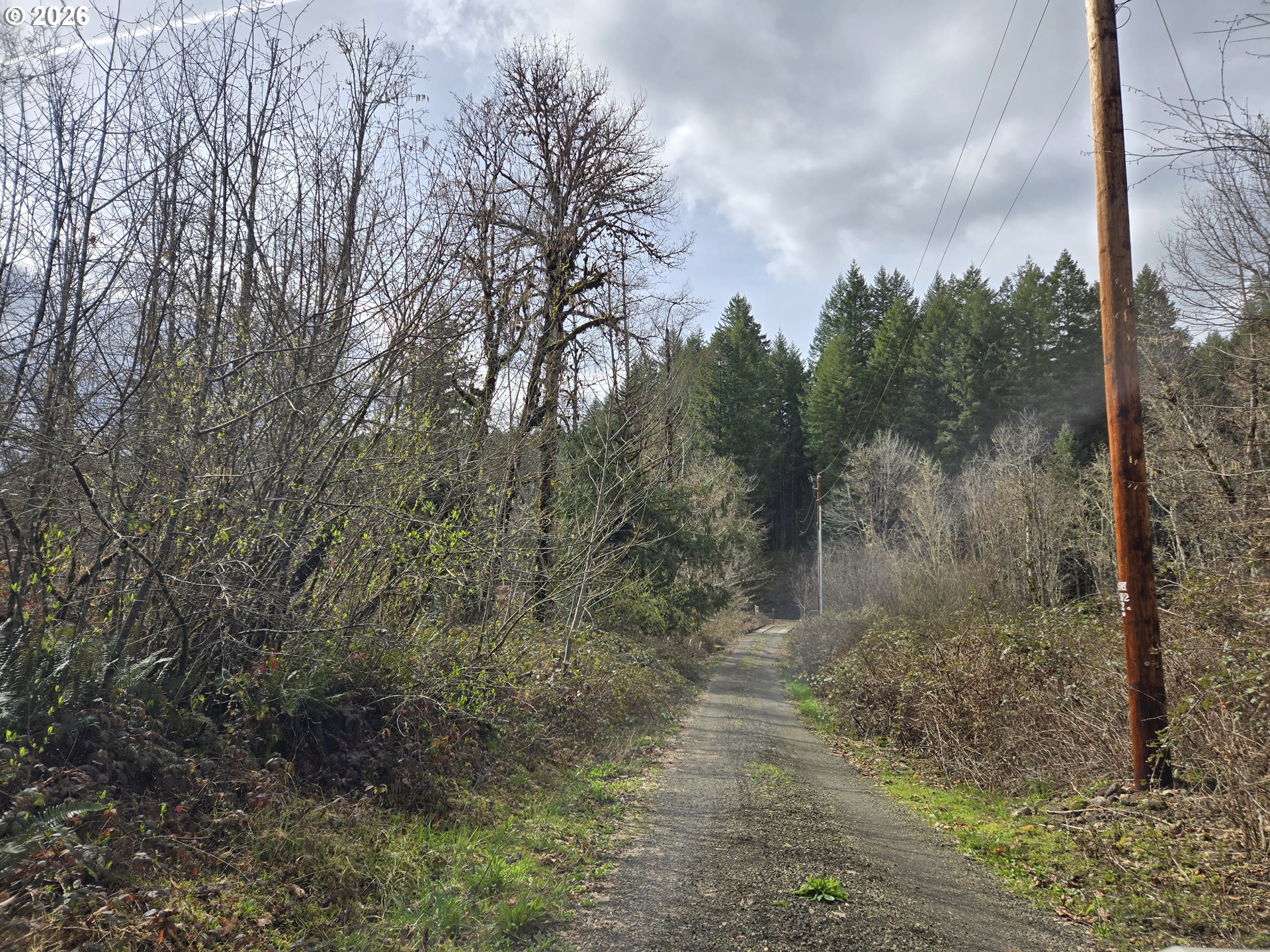 16817 Nonpareil Road Sutherlin, OR 97479 - Photo 36 of 39 a view of a forest with trees in front of the house