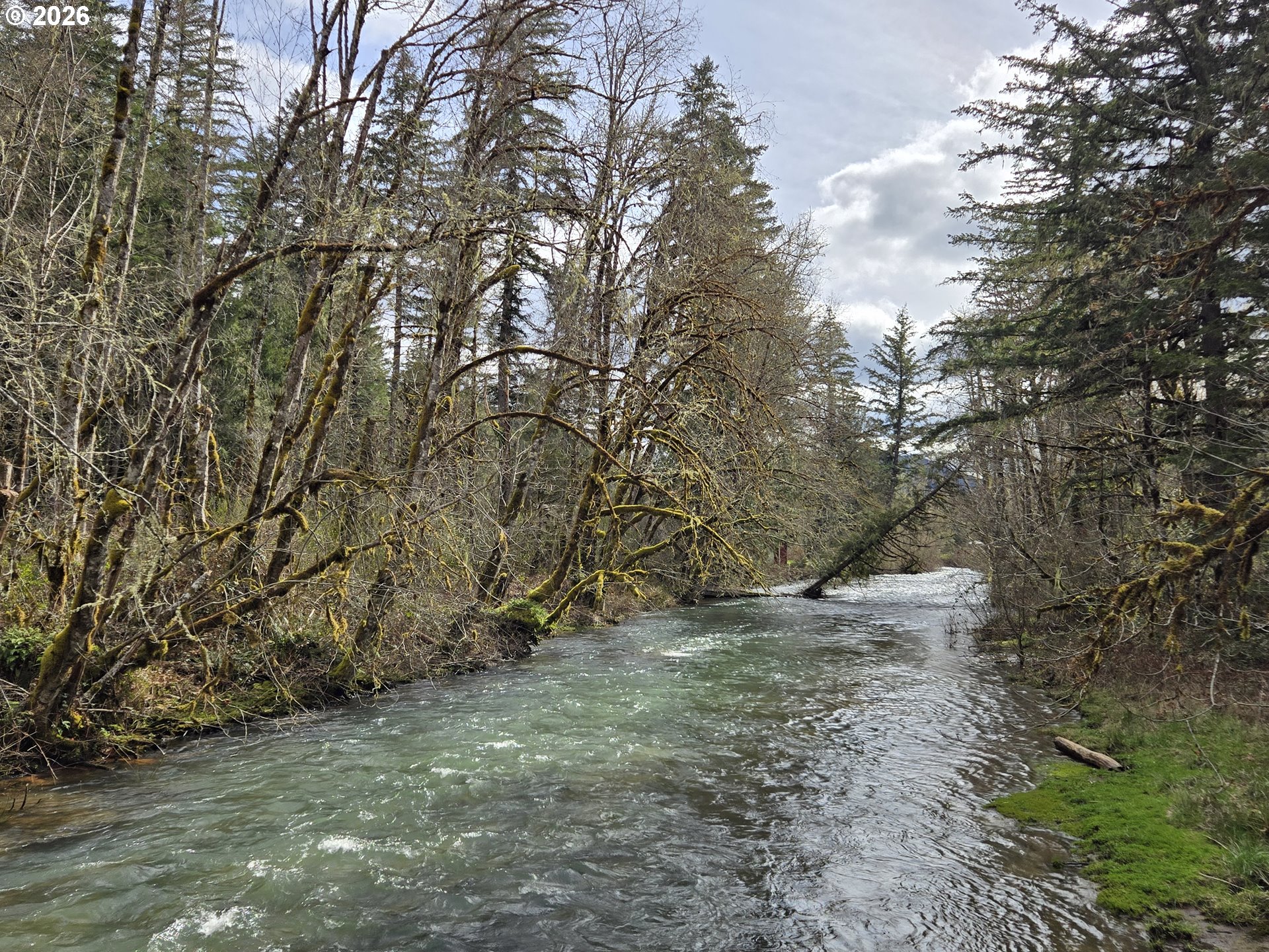 16817 Nonpareil Road Sutherlin, OR 97479 - Photo 37 of 39 a view of dirt yard with trees