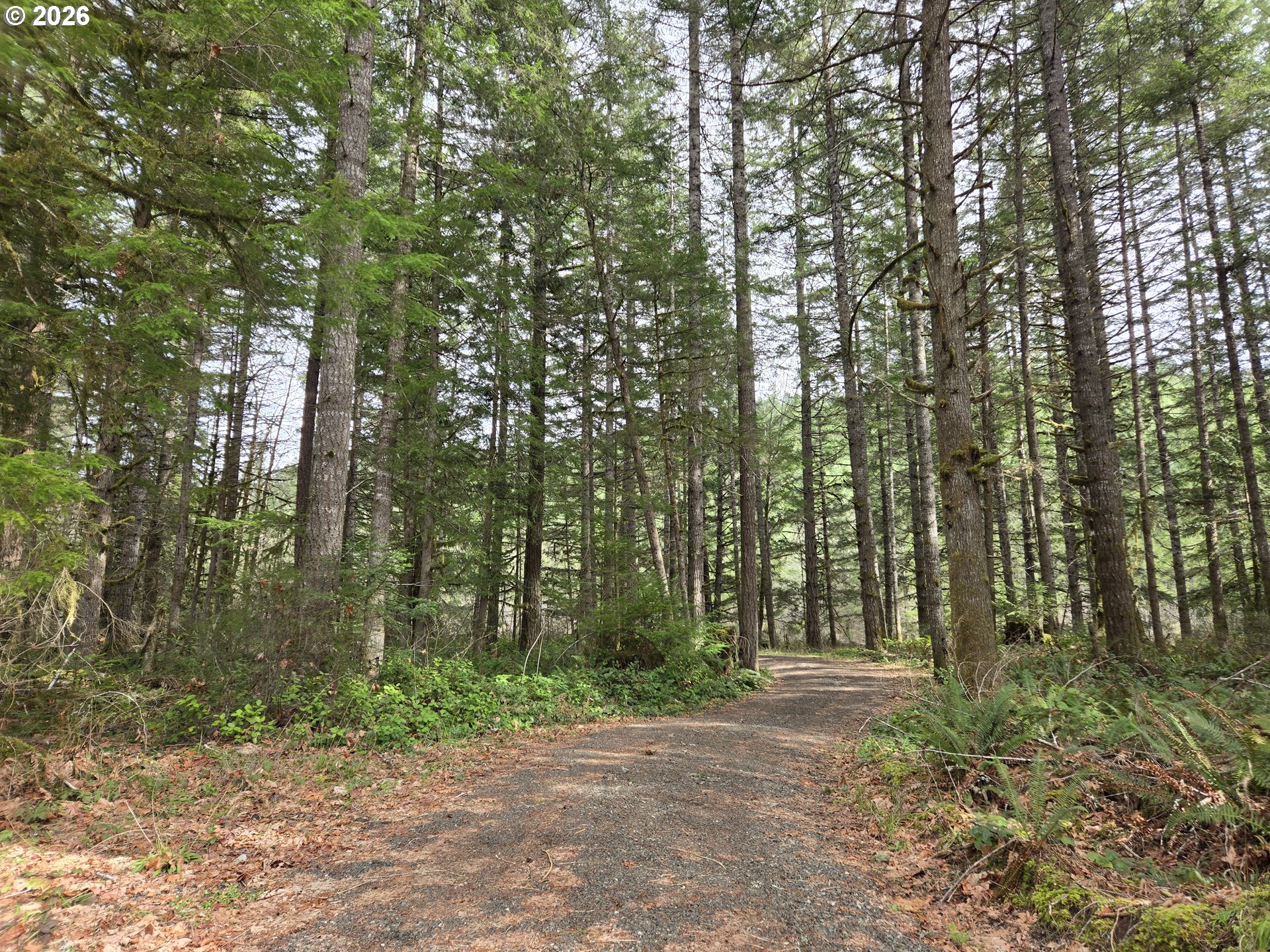 16817 Nonpareil Road Sutherlin, OR 97479 - Photo 4 of 39 a backyard of a house with lots of green space