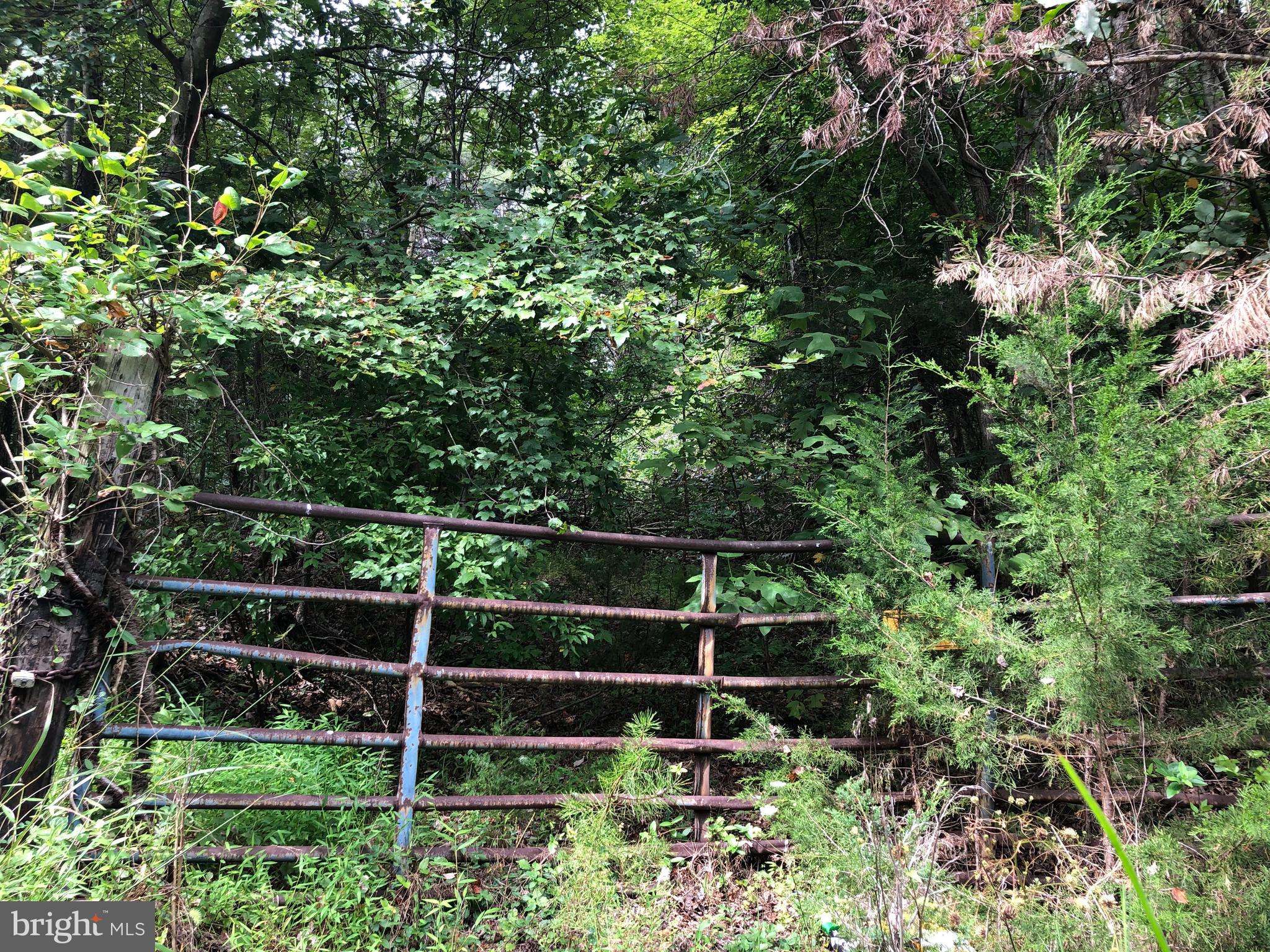 Lot 2 Settle School Road Rixeyville, VA 22737 - Photo 1 of 6 Gate at entrance to lot