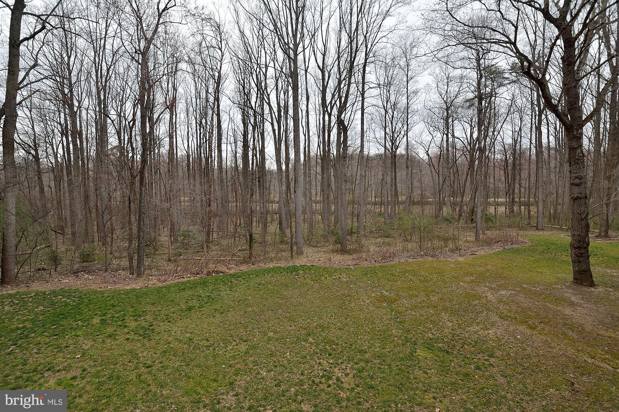 2000 Adams Hill Road Vienna, VA 22182 - Photo 42 of 45 Backyard
