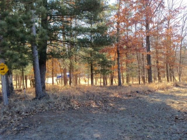 0 7 Mile Road Stanwood, MI 49346 - Photo 1 of 6 1. Lot view 1