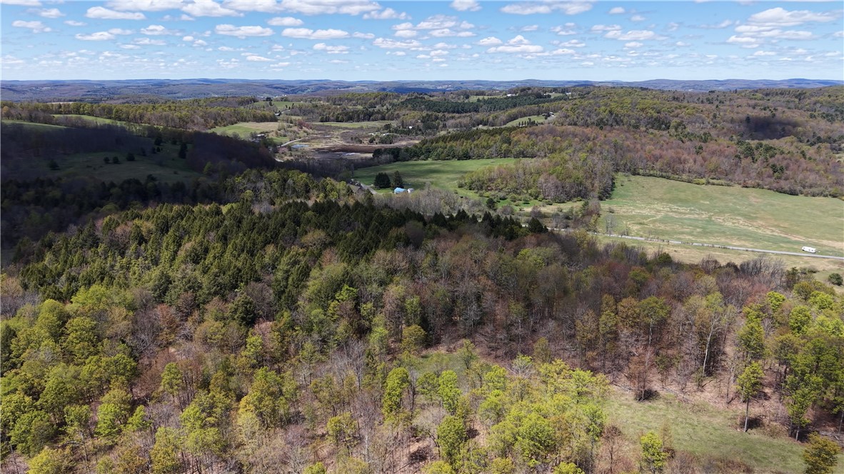 328 Miller Road Pittsfield, NY 13411 - Photo 42 of 50