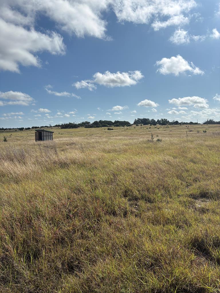 275 Painted Pony Road Harper, TX 78631 - Photo 1 of 9 Main View