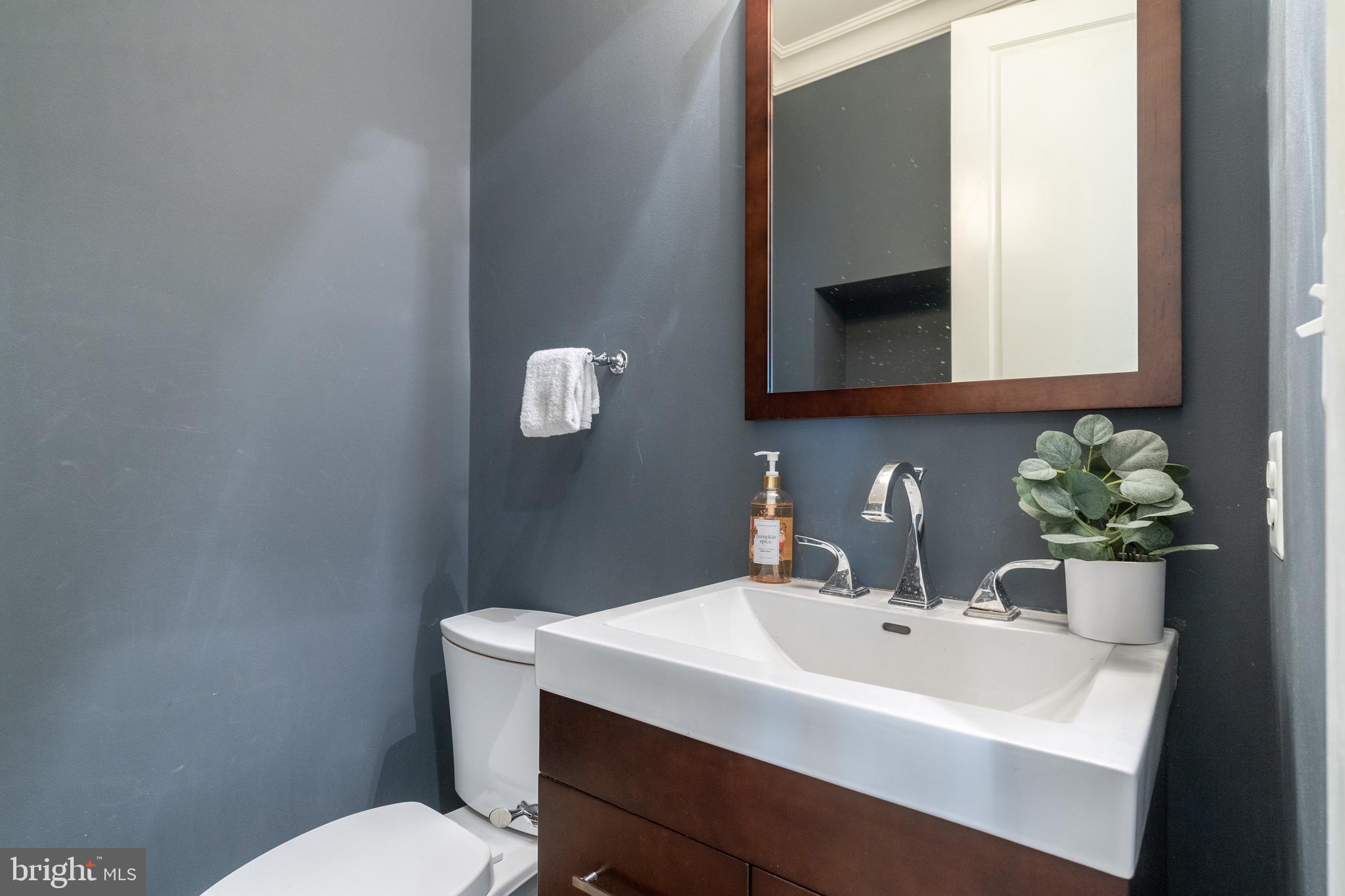 4310 Chestnut Street Bethesda, MD 20814 - Photo 21 of 50 Powder room