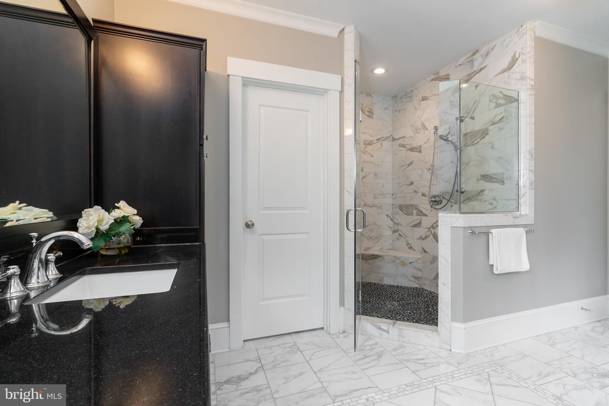 4310 Chestnut Street Bethesda, MD 20814 - Photo 27 of 50 Primary bathroom shower