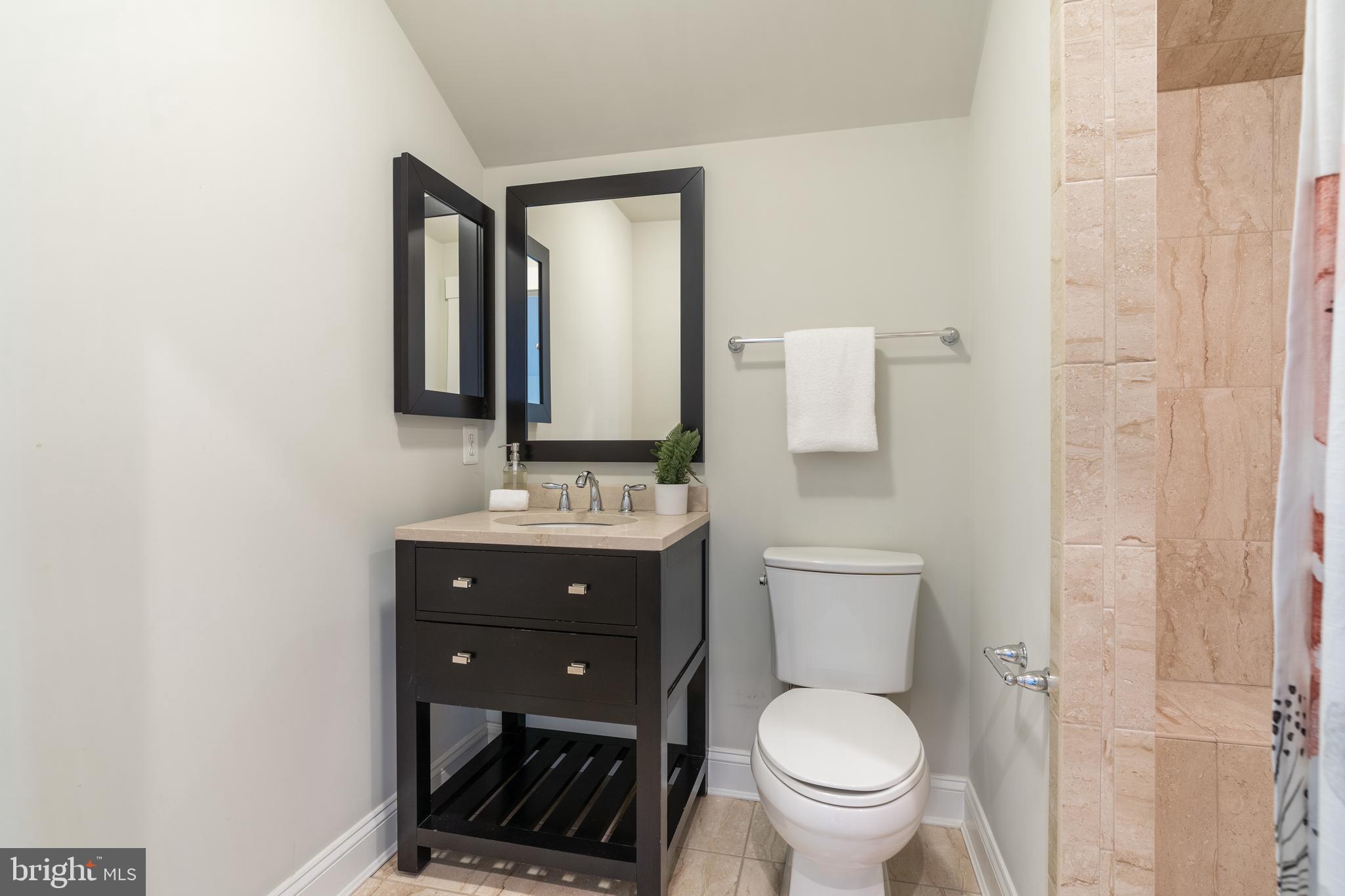 4310 Chestnut Street Bethesda, MD 20814 - Photo 38 of 50 Bathroom on third level