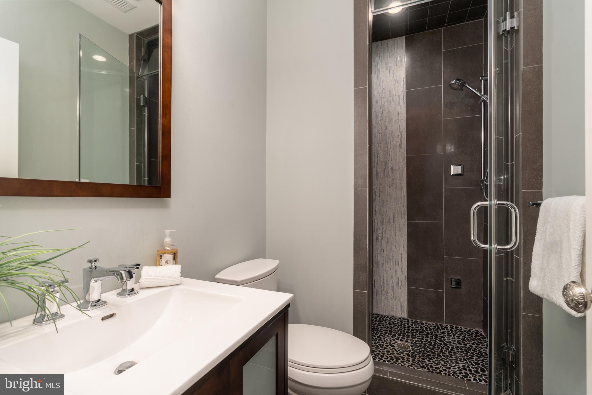 4310 Chestnut Street Bethesda, MD 20814 - Photo 43 of 50 Bathroom in basement